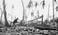 Marines take cover from 
Japanese small arms fire