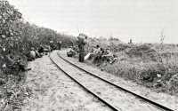 Narrow-gauge railroad near 
Charan Kanoa