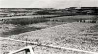 Open terrain of central 
Tinian, which permitted rapid advance toward the hill mass that dominates the southern tip of the island