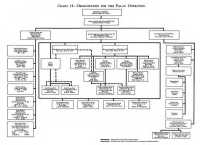 Chart 14: Organization for 
the Palau Operation