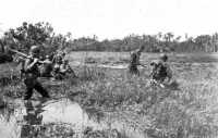 Troops of the 1st Cavalry 
Division wade through a swamp to their A Day objective