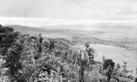 Landing areas and Leyte 
valley as seen from a captured Japanese observation post on Catmon Hill