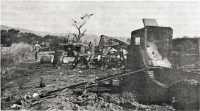 Wrecked Japanese 
tank-artillery column, near Pemienta