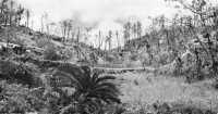 Saddle between Kakazu 
West and Kakazu ridge, though which enemy advanced on the night of 12-13 April