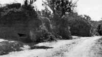 At the same time the 
right flank of the 305th was attempting to reduce these enemy pillboxes along the road parallel to Red Beaches 3 and 4