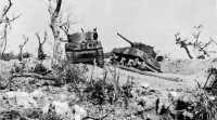 During the fighting on 
Bloody Ridge two medium tanks (below) were knocked out by Japanese artillery fire from the Pinnacle