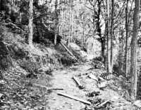 Kall trail supply route 
between Vossenack and Kommerscheidt on Vossenack side of gorge