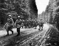 German prisoners of war 
being escorted to the rear by military policemen on 4 November