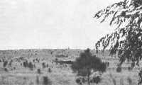 Dummy planes in position, 
1st Army maneuver area, October 1941