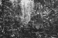 Bulldozer cutting road 
through jungle, New Georgia, 1943