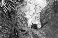 Road cut through hills and 
jungle is used by troops in New Georgia, July 1943