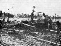 Clearing swamps at Camp 
Blanding, Florida