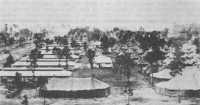 Camp Blanding, Florida, 
Late November 1940