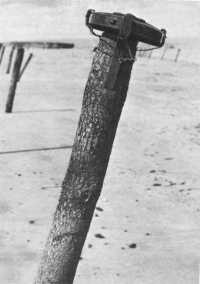 Teller mine atop a stake 
emplaced to impale landing craft on Utah Beach