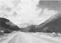 A view along the Alcan 
highway