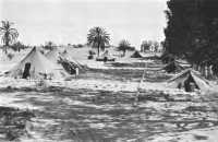 Partially dug-in hospital 
tents of the 3rd Platoon, 4th Field Hospital, near Tripoli, May 1943