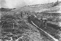 Italian POW’s 
draining swampy ground near Algiers as a malaria control measure
