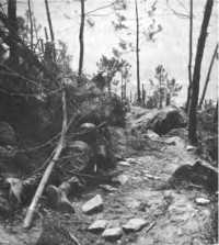 100th Battalion aidmen 
approach wounded on “Ohio Ridge”