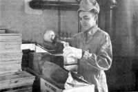 Inspector at volunteer 
ordnance works taking a sample of TNT for testing at an ordnance laboratory