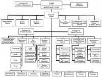 Chart 5-Research and 
Development Branch, OQMG: 16 June 1944