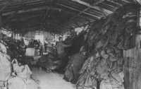 Section of the 
Quartermaster salvage depot at Milne Bay, New Guinea