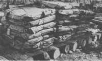 Lack of dunnage materials 
forced the use of coconut log ramps