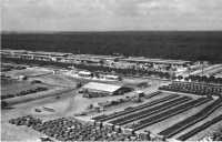 QM depot at Leghorn, August 
1945