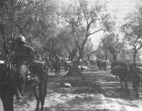 American pack unit waiting 
for Italian muleteers to clear the trail