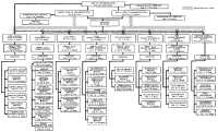 Chart 4: Organization of 
the Office of the Chief of Transportation, COMZONE, ETOUSA: 1 April 1945